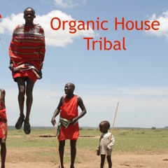 Into Your Tribe #42 | Sol Selectas | Be Adult Music | Suprematic | -102℃