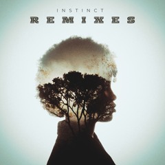 Instinct Remixes