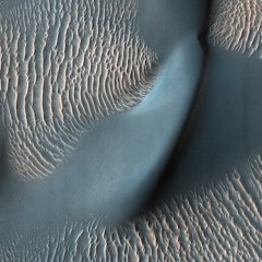 Dune Ripples