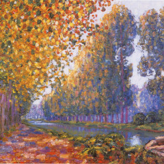 IMPRO - Salut les Boloss