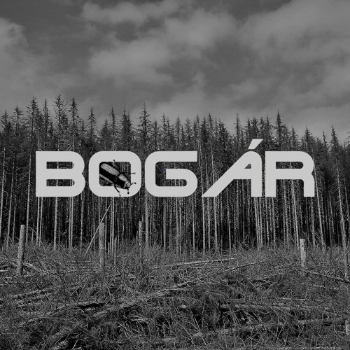 Bogár
