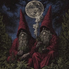 הרפתקאה ביער 🍄🌱🍃 Dj N.Y.N & שילה מעלם