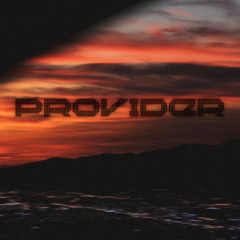 Provider