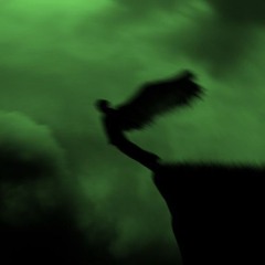 S.Y.T.T - No One Takes Me Down // [•REMiX•]