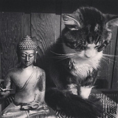 Nettspend- เครียด (saiyor remix) #jangankasihturun