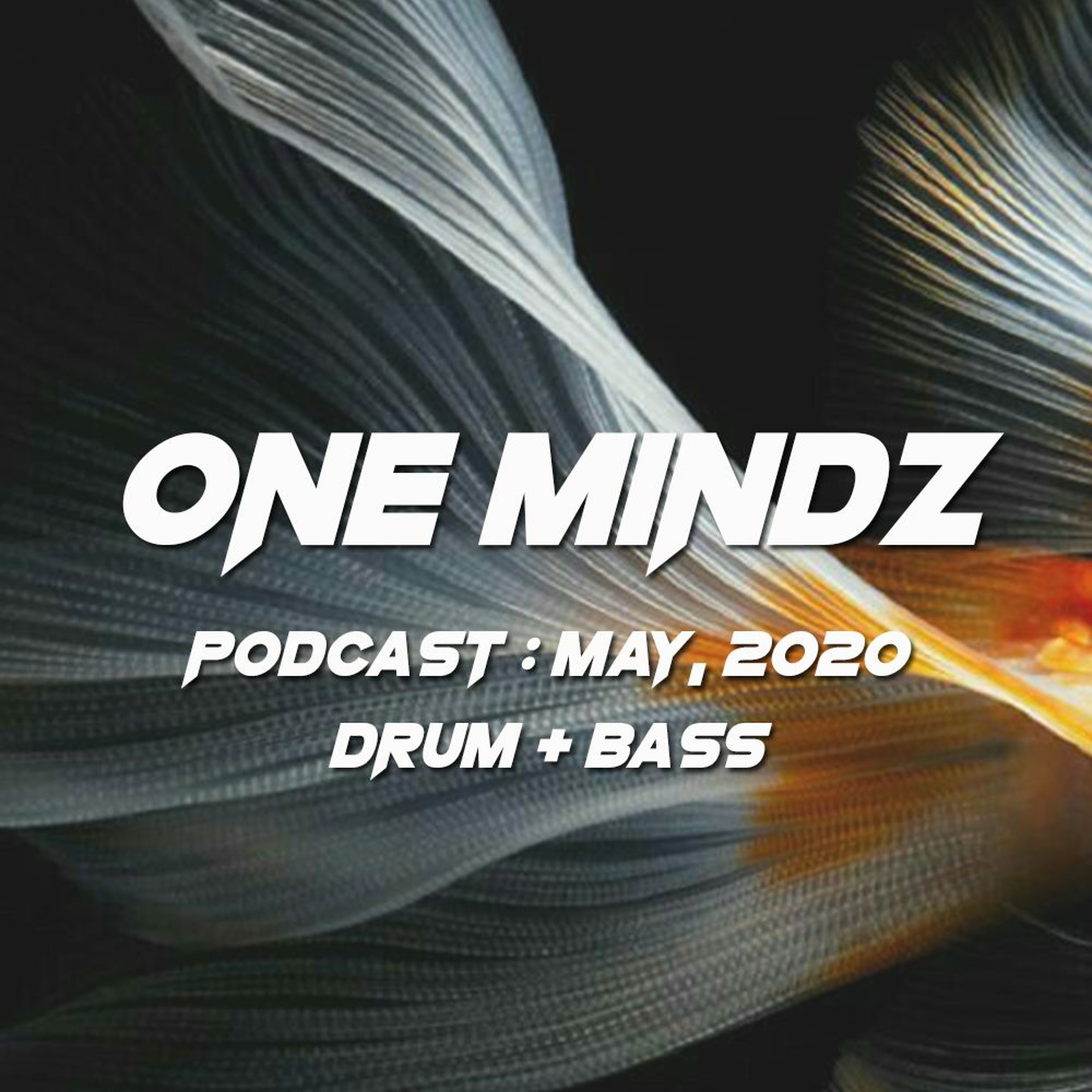 One Mindz Podcast (Drum & Bass)