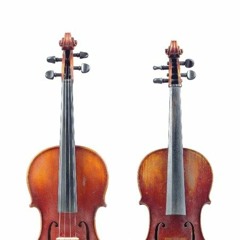 Two Gentlewomen From Pomona