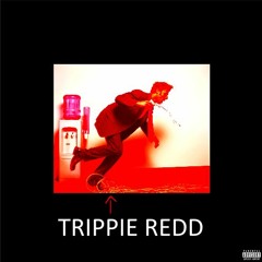 MISS THE RAGE REMIX