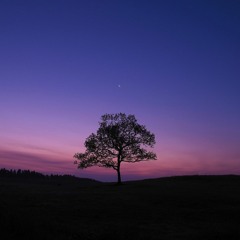 AllenMusic - Living In Light