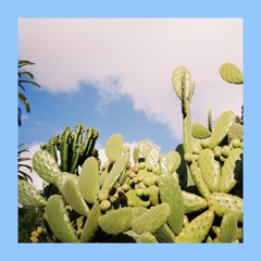 Solo Cup (Produced by GDEN)