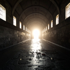 Dark To The Light - Micki DSM