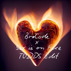 BroCode x Sex is on Fire (TODDS Edit)