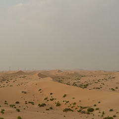 تايه وفي الصحراء ولا عندي دليل