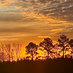 Relaxed Winter - A Christian McIntosh