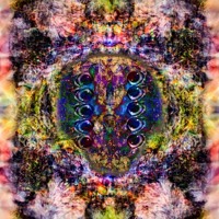 D3m0n Club W0rldwid3 S Stream