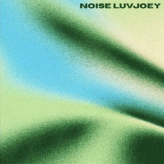 NOISE