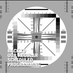 Mirrored Spirit - Back To The Basics