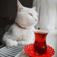 sippin' tea feeling like skrillex