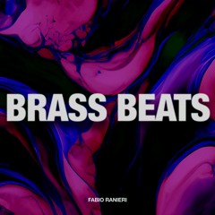 Tech House | Fabio Ranieri - Brass Beats