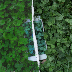 Ascension (Mssingno Remix)