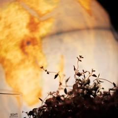 Enøsz_Hulable x Sujti _ Nomád bár _20250820