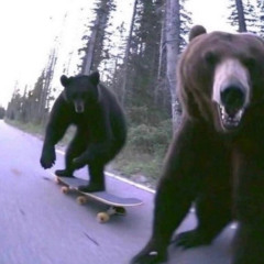 Japanese Denim (Feat. Peyd3y) (Prod. Sipoglo)