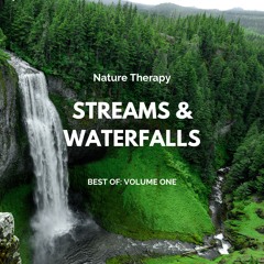 Forest Waterfall In Watersmeet