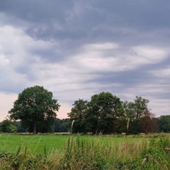 Naturgeister