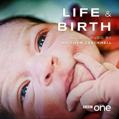 BBC One: Life and Birth - Music Score Excerpts