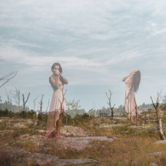 Soultripping - through branches of the birch