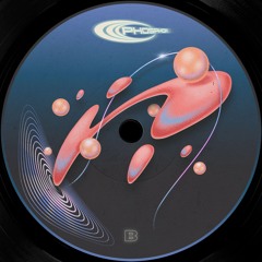 Premiere : Kolter - Electronic Mind (PHP001)