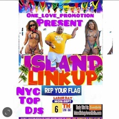 ISLAND LINK UP BRONX NY