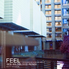 Feel (Seb Wildblood Remix)