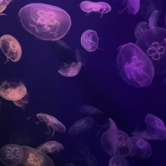 malam minggu remake </3