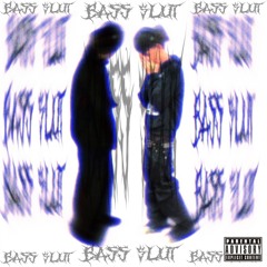 BASS $LUT