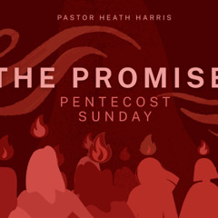 The Promise