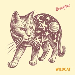 Wildcat