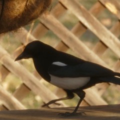 In Danger Now Friends