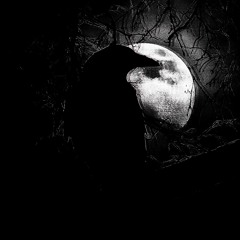 TEEJÆ - ТЯ Е ОТ АДА