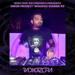 ORION PROJECT 'Woodog Diaries #3' | Woo-Dog Recordings Presents | 26/11/2022