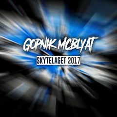Skytelaget 2017