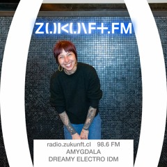 ZUKUNFT.FM - In the Mix - AMYGDALA