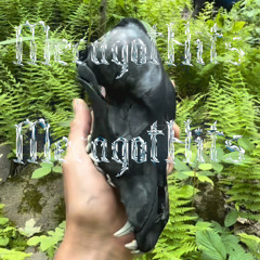 Into the woods Part II (remix)