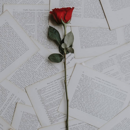 Apartment- Dardan  beginning loop + slowed.mp3