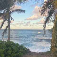 Tony Hatch - Amazonas