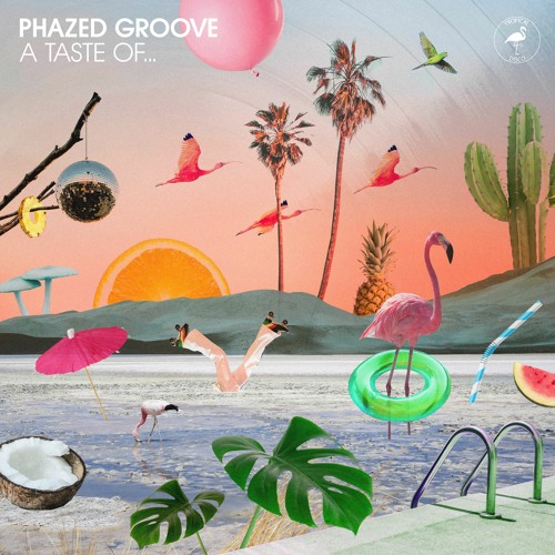 2. Phazed Groove - Give You Up