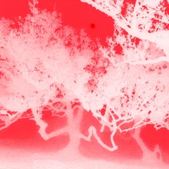 FREALLY (prod highsoulja )