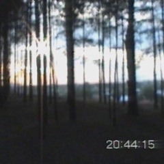 runaway (prod. neverl0se)