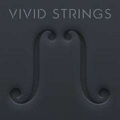 Frozen Seas (only Vivid Strings & No Reverb) - Brendon Bourgade