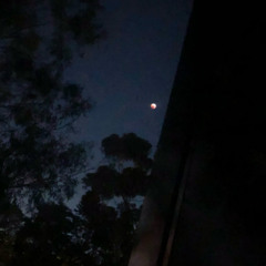 Claim all that (ft snowmoney & tracysfuneral)